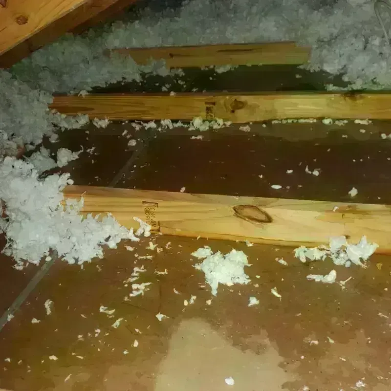 Attic Water Damage in Middletown, KY